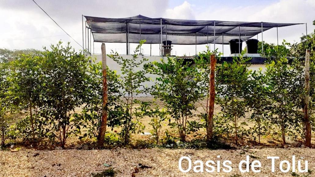 Oasis De Tolu Hotel Exterior photo